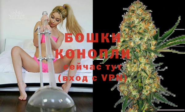 МДПВ Алексеевка